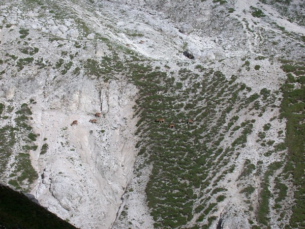 The Dolomites